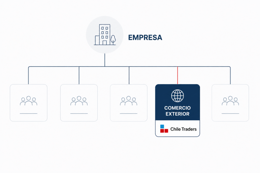 Organigrama con Chile traders